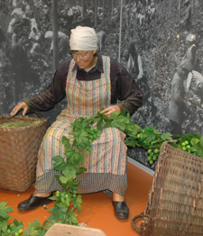 Hallertau Hop Museum