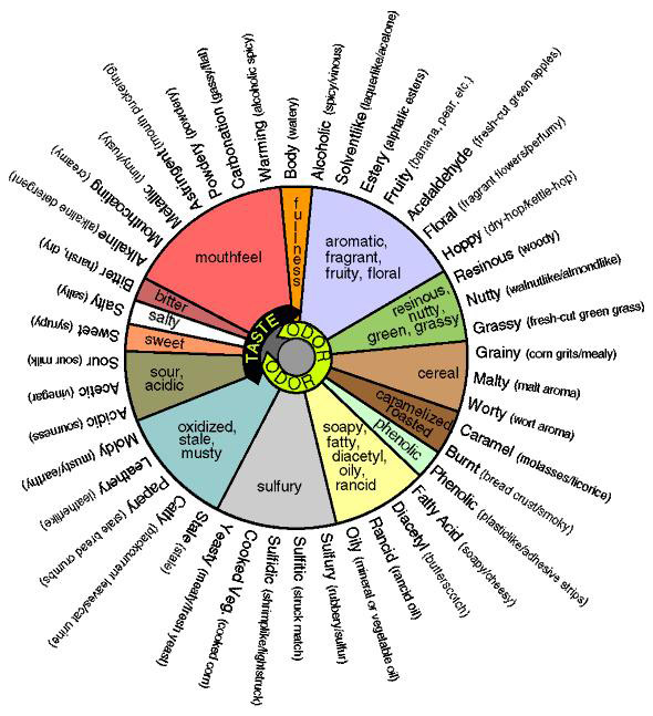 wine aromas