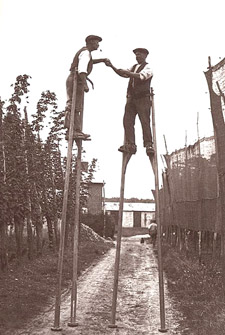 Hop pickers