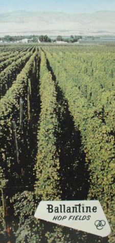 Hop field