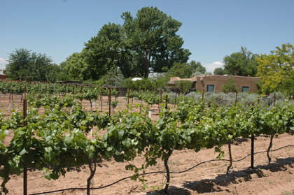 Milagro Winery