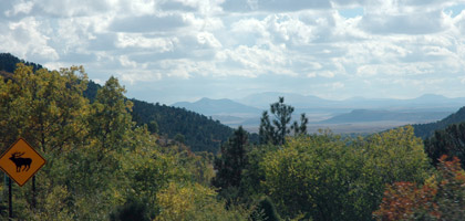 Heading into New Mexico