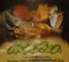 Samuel Adams hops sample