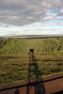 Jersey Jim Lookout Tower