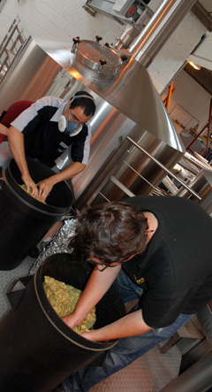 Breaking up hops at Meantime Brewing